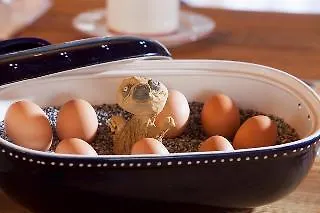 Otel Keramikhotel Goldener Brunnen